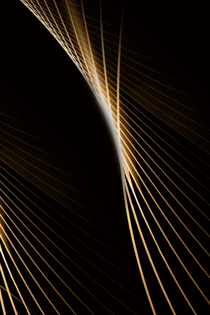 黑金曲线纹理质感线条