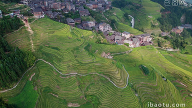 旅游大气桂林龙脊梯田风光航拍