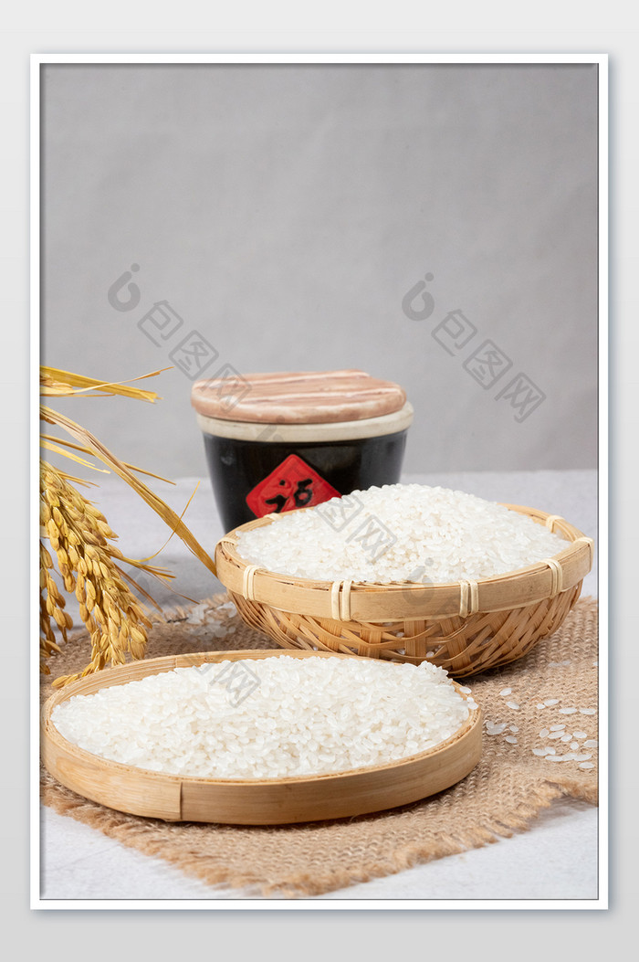 世界粮食日农作物粮食水稻大米