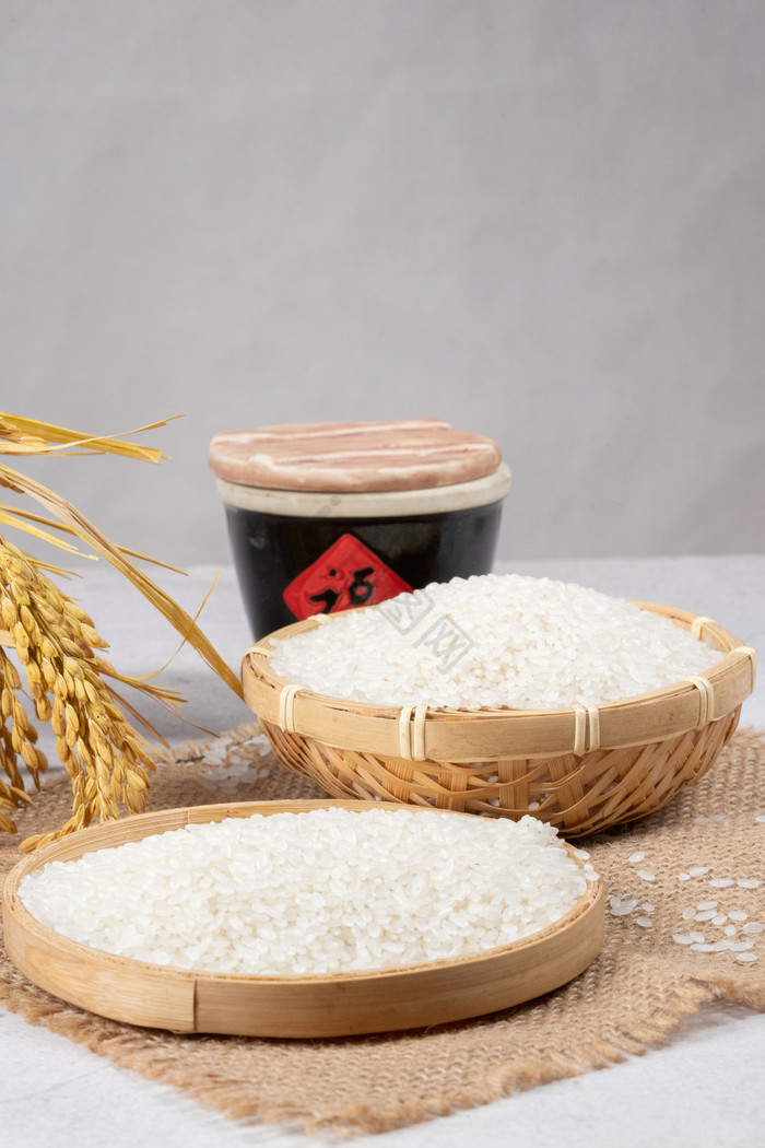 世界粮食日农作物粮食水稻大米图片