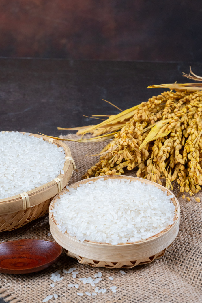 世界粮食日农作物粮食大米水稻图片