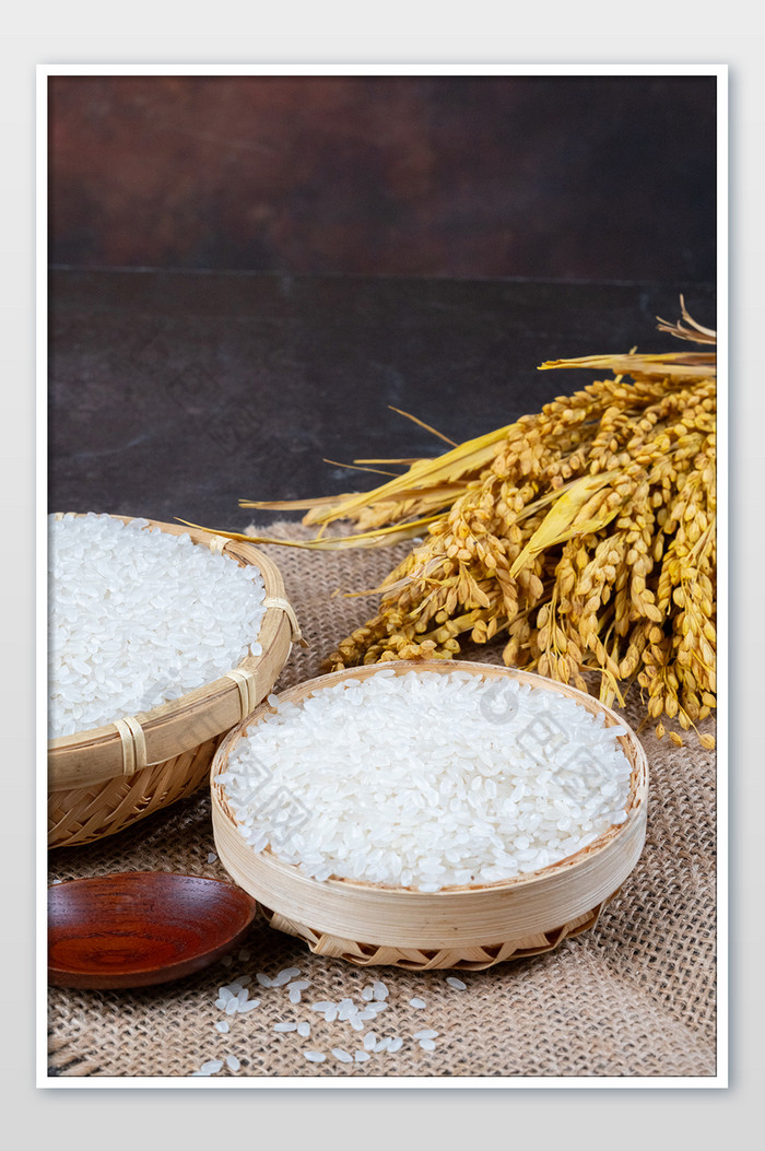 世界粮食日农作物粮食大米水稻图片图片