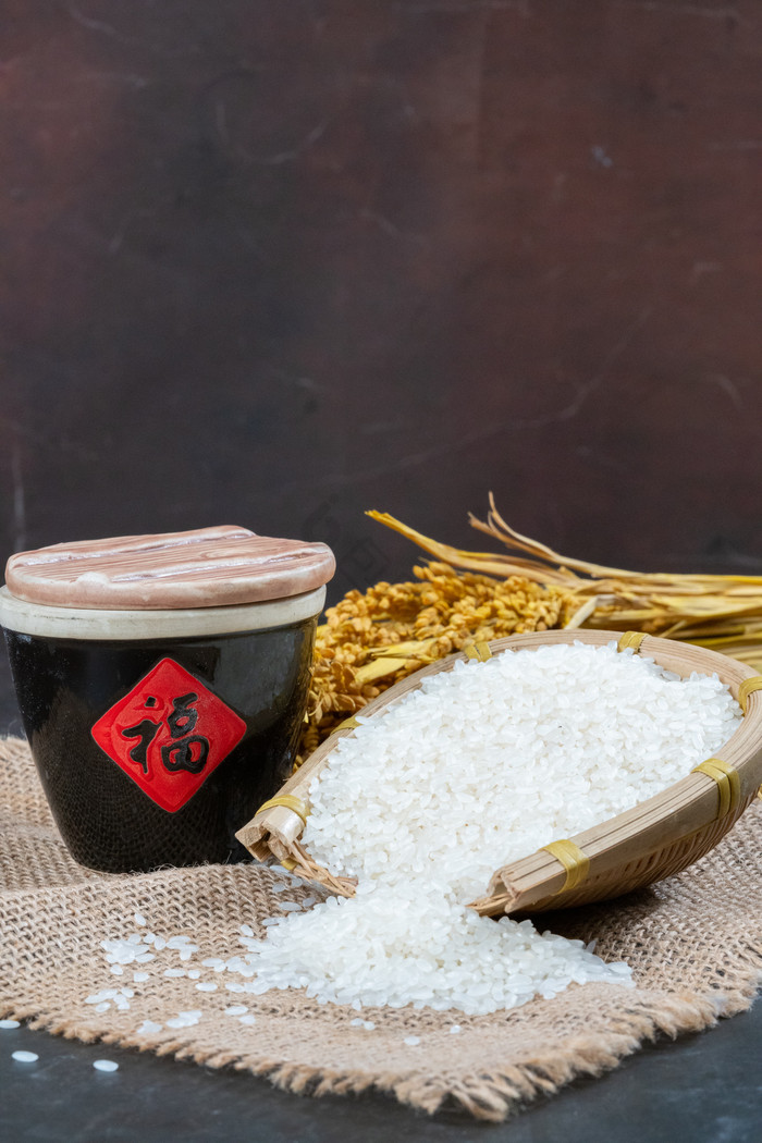 世界粮食日农作物水稻大米图片