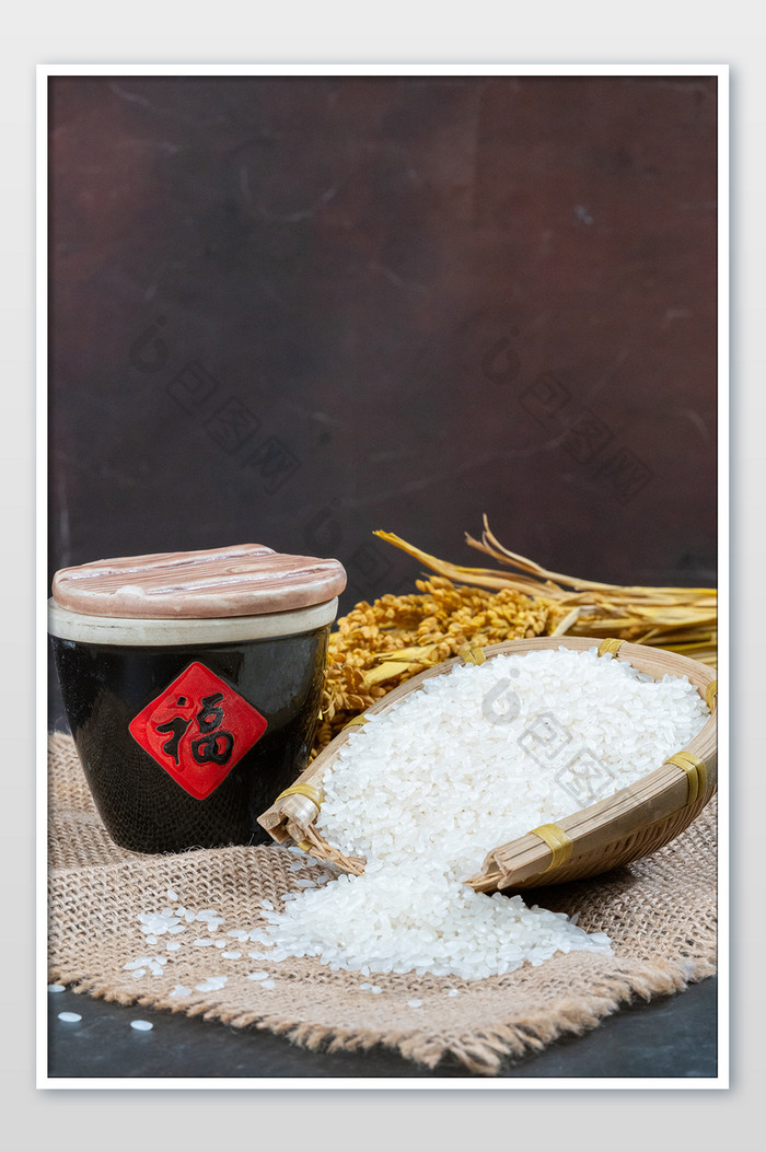 世界粮食日农作物水稻大米