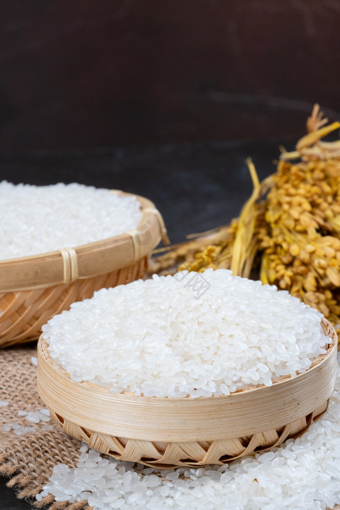 世界粮食日农作物大米水稻图片