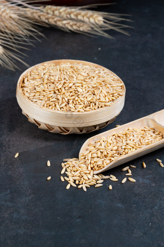 世界粮食日农作物燕麦麦穗图片