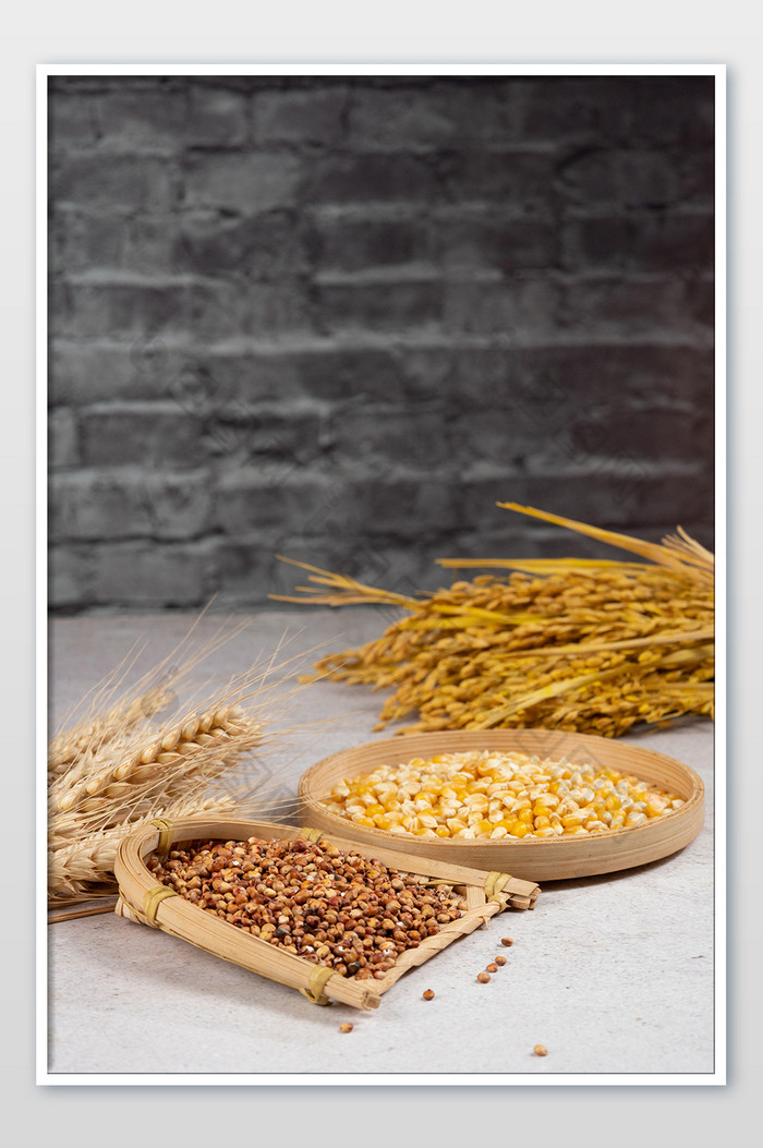 世界粮食日农作物玉米高粱米图片图片