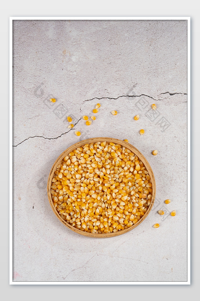 世界粮食日农作物黄玉米