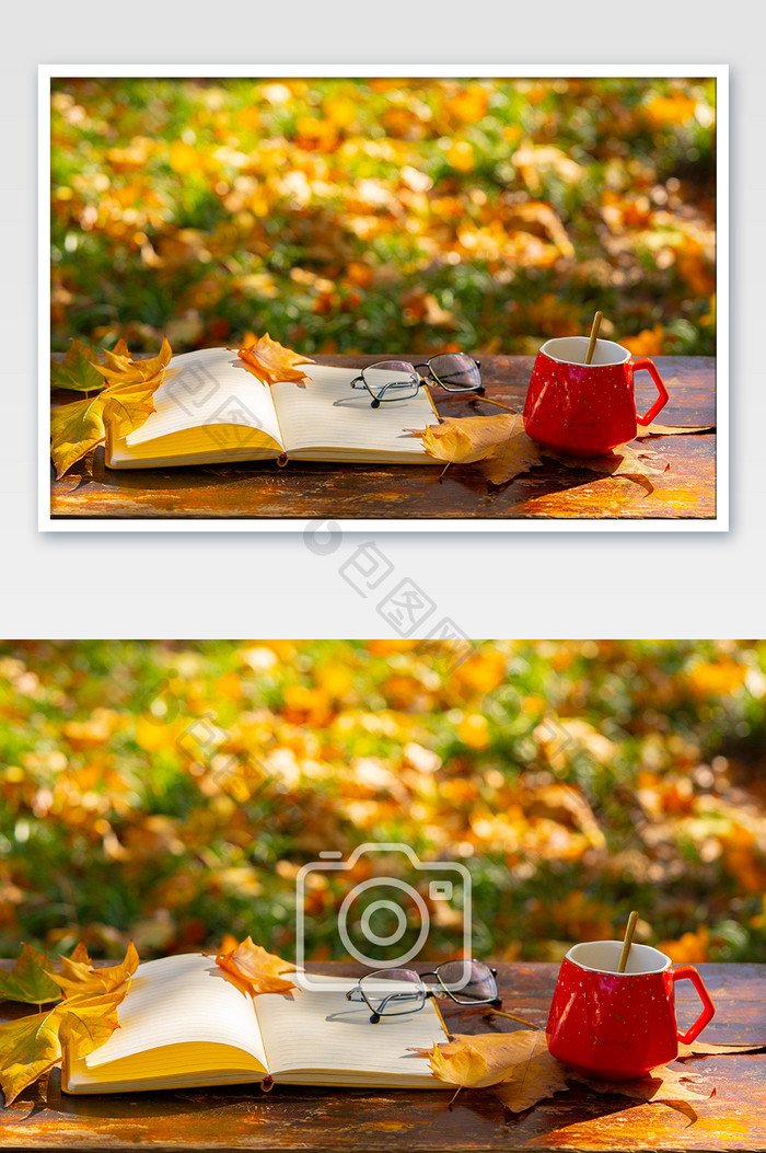 秋季风景黄树叶落叶书本茶杯草坪