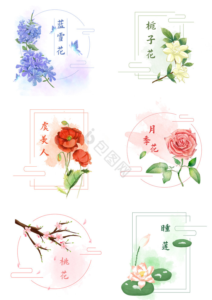 花卉标签图片