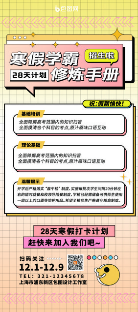 创意简约网格寒假培训教育海报