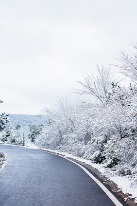 冬天道路两边挂满白雪的树挂