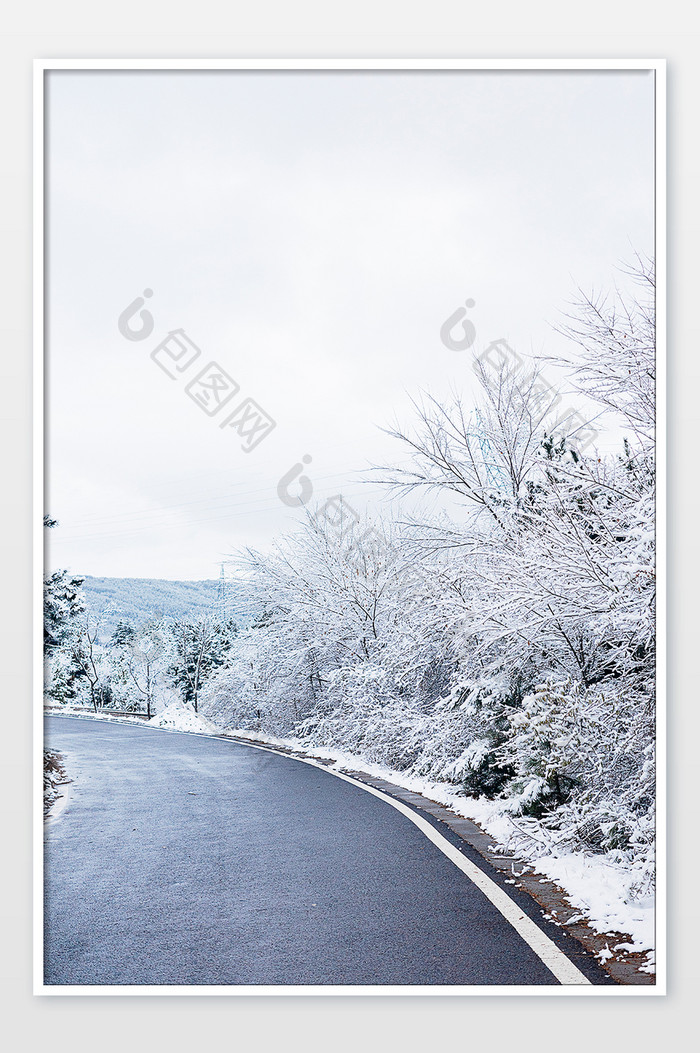 冬天道路两边挂满白雪的树挂