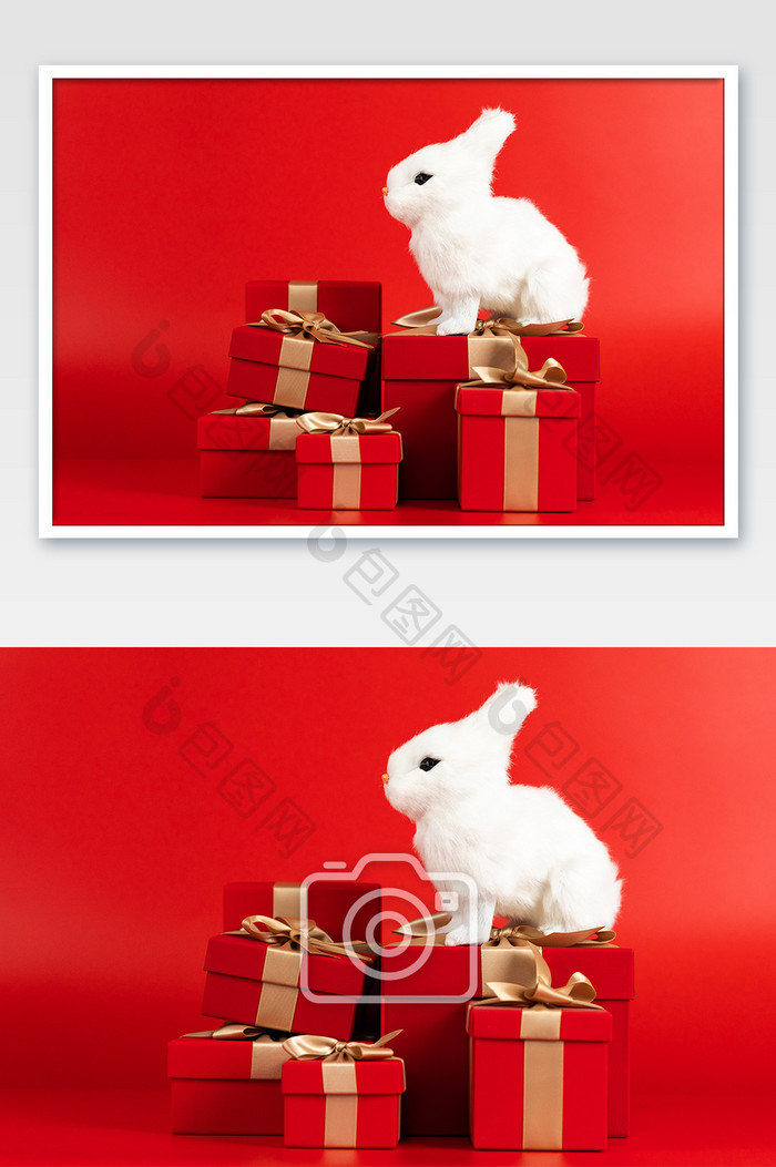 兔子站在礼品盒礼盒上摄影图