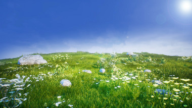 绿色草地野花风景可循环视频素材