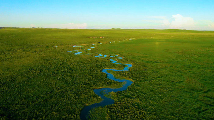 清晨草原上蜿蜒的溪流4k航拍