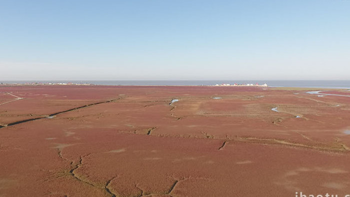 大气磅礴艳红的盘锦红海滩航拍