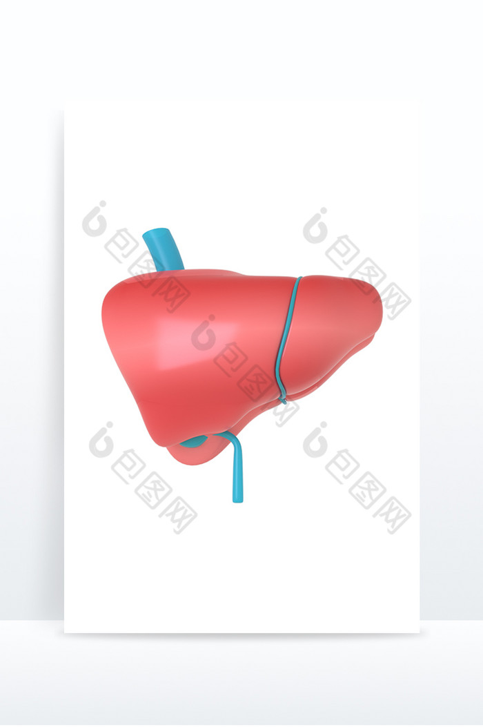 3DC4D立体五脏六腑肝脏图片图片