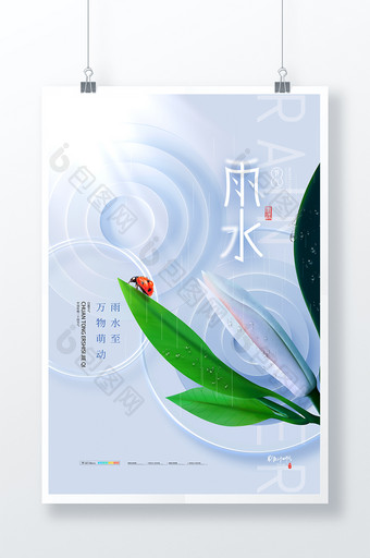 雨水白玉兰中国风节气海报图片
