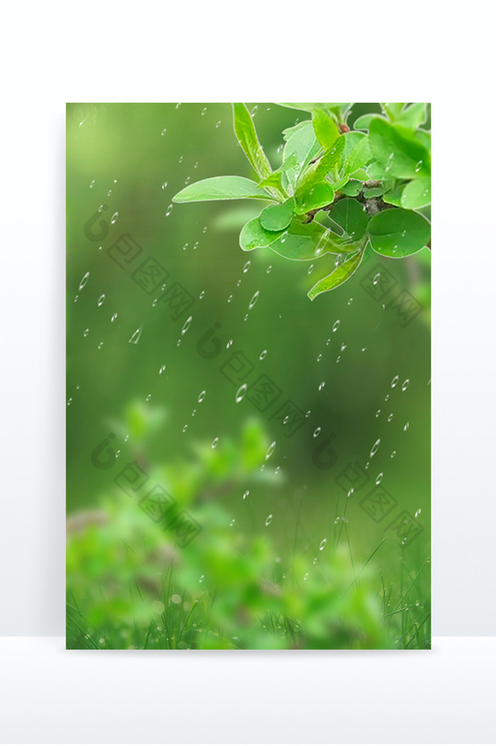 绿色写实植物雨水节气宣传背景