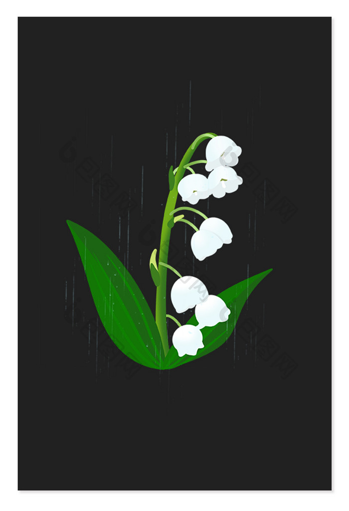 雨水节气植物铃兰白色花朵元素