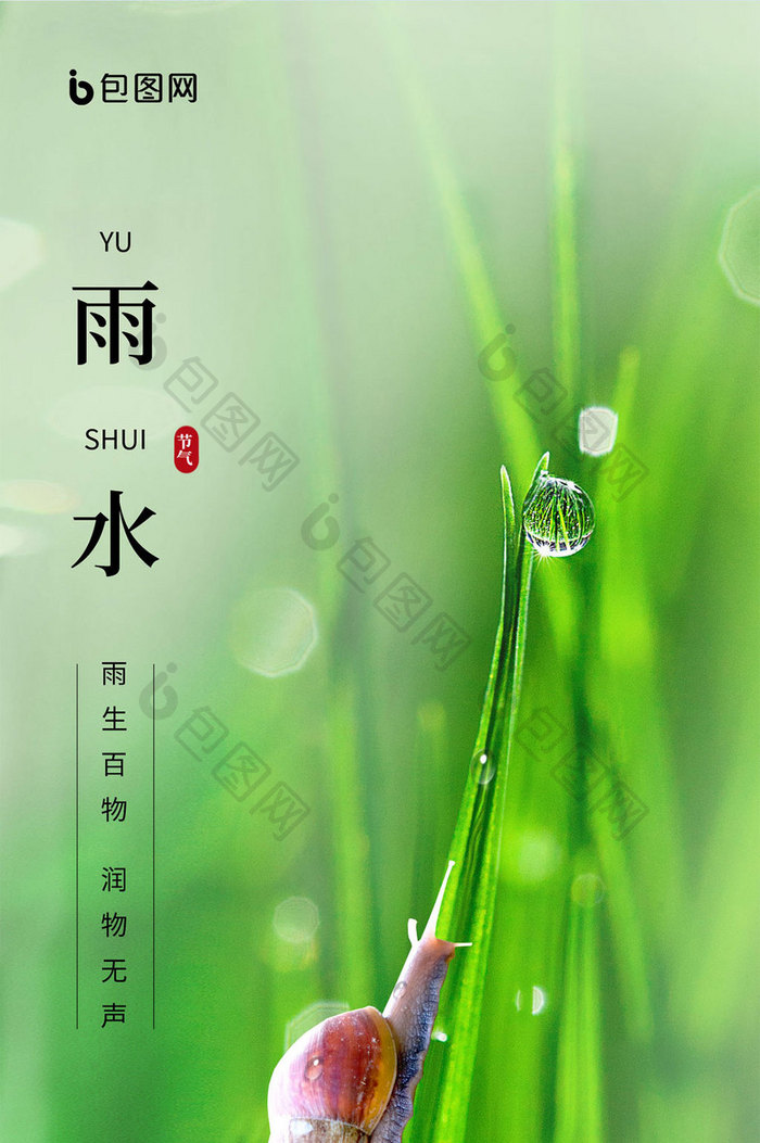 二十四节气之雨水绿植雨滴蜗牛图