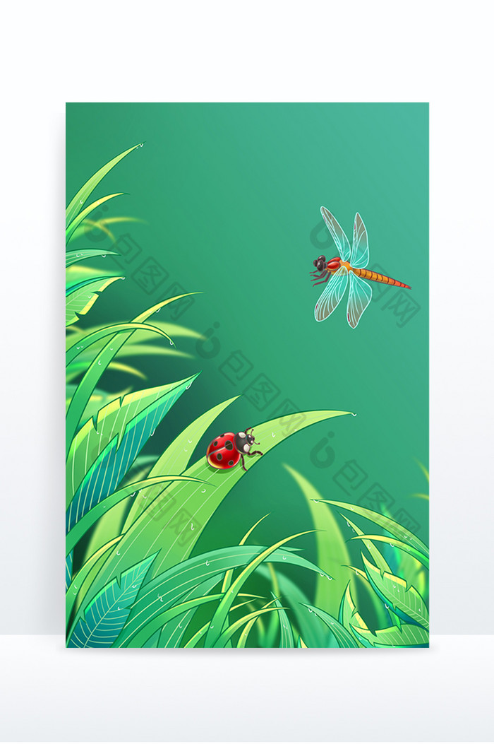 二十四节气惊蛰植物瓢虫蜻蜓图片图片