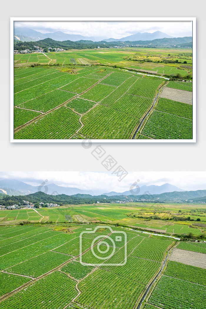 航拍大规模农田种植航拍