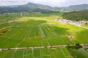 航拍马铃薯种植基地