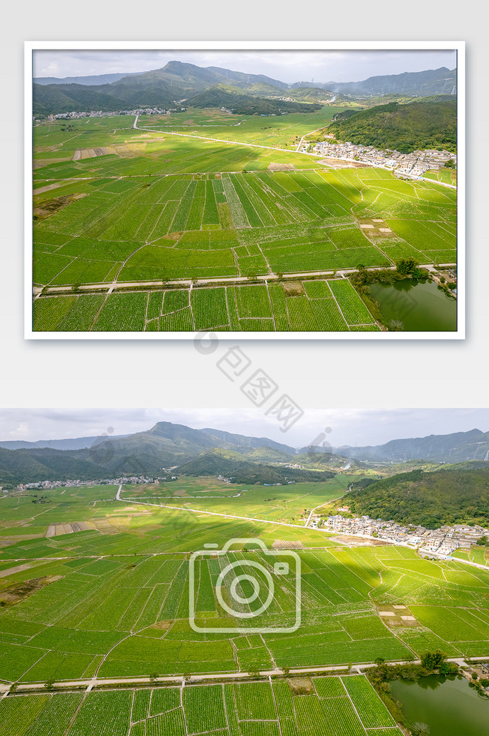 航拍马铃薯种植基地