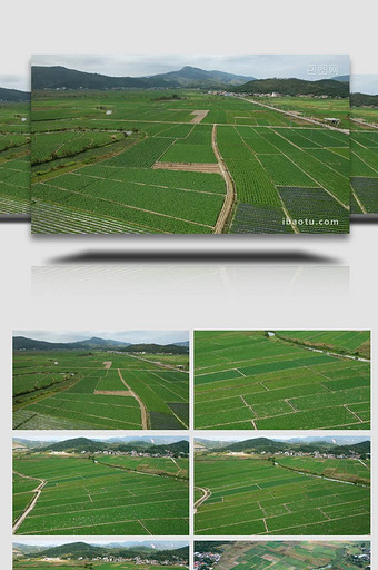 航拍大规模农田种植实拍4k图片