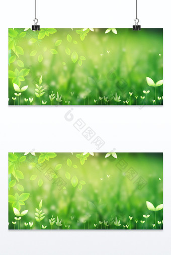 绿色植物春分小清新叶子背景图片