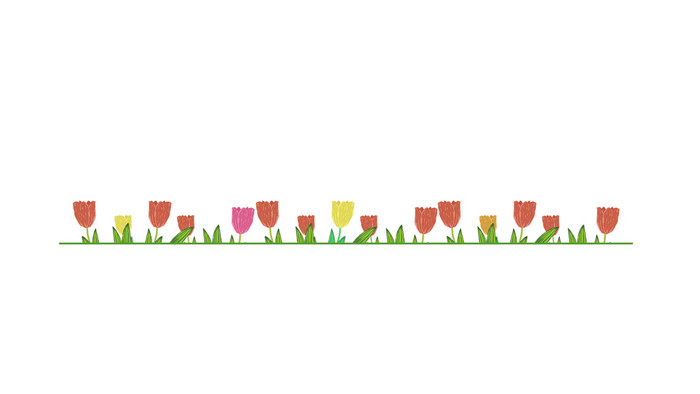 春天花朵分割线郁金香动图GIF
