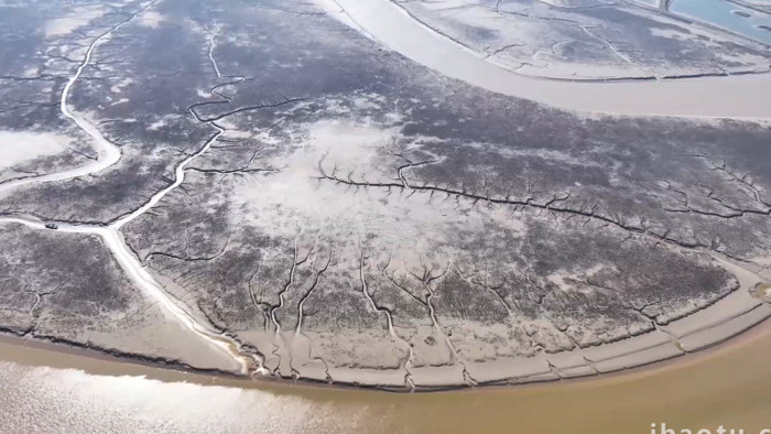 自然风景沿海湿地滩涂4K航拍