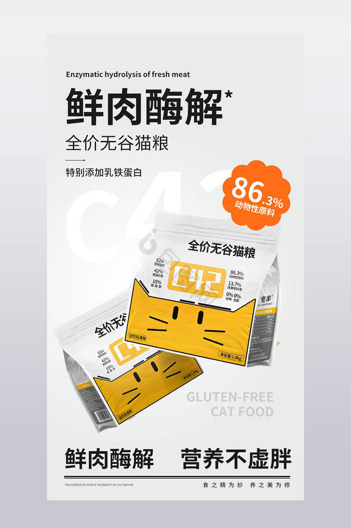 潮酷孟菲斯风猫粮狗粮详情页模板图片