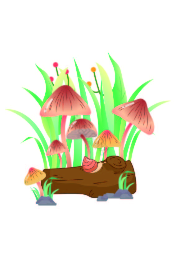 惊蛰植物蘑菇动物图片