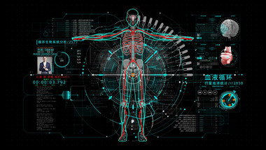 HUD全息科技医学人体AE模板