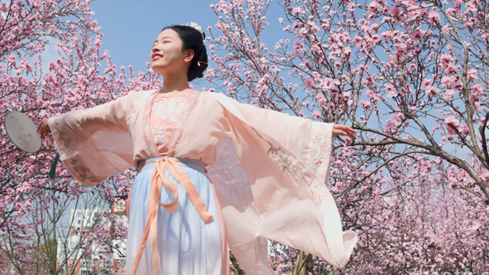 户外春天樱花林汉服美女旋转实拍