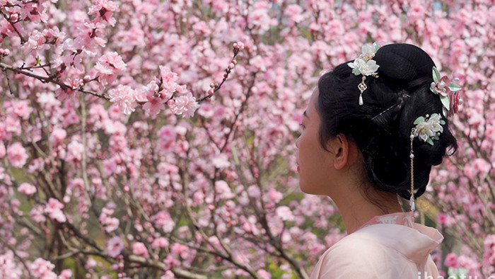 户外春季汉服美女赏花樱花实拍