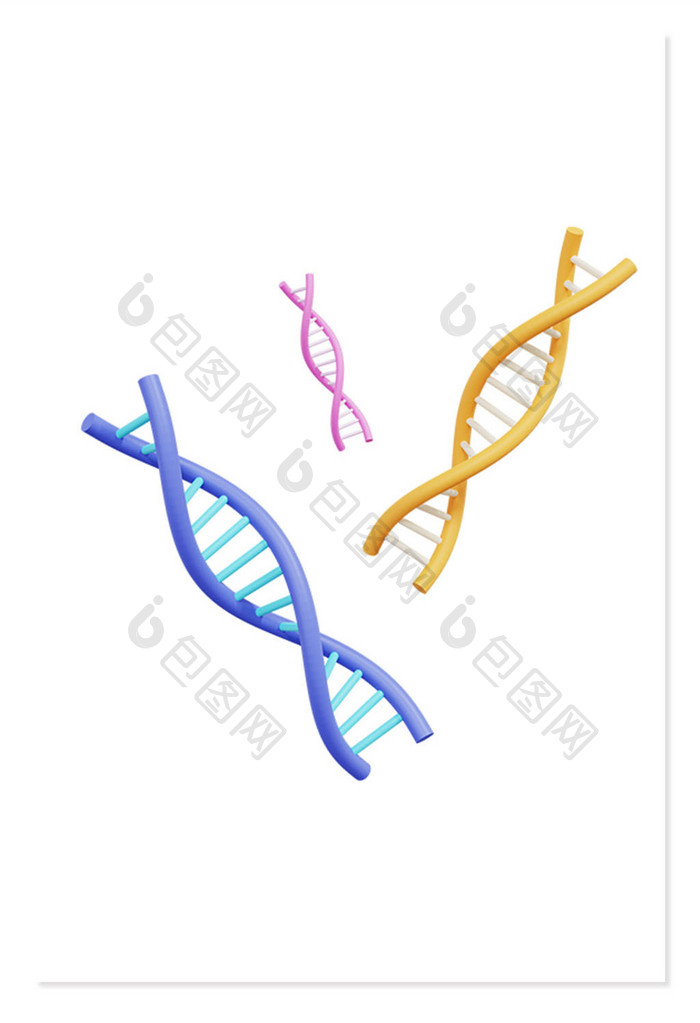 3D学科科学研究DNA