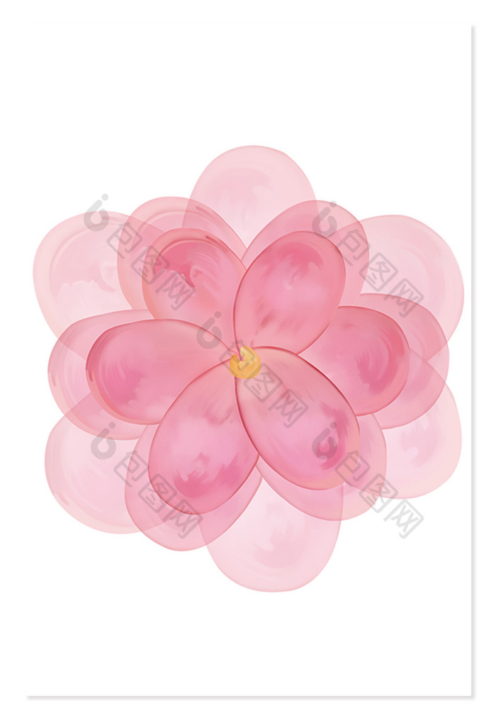 粉色花朵手绘插画花卉粉红