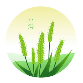 节气小满丰收水稻稻穗动图GIF