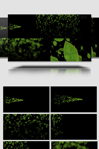 树叶粒子带通道AE模板图片