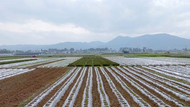 乡村生态农业种植基地4K航拍