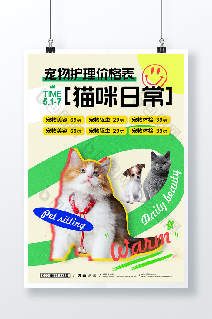 猫咪日常宠物美容图片图片