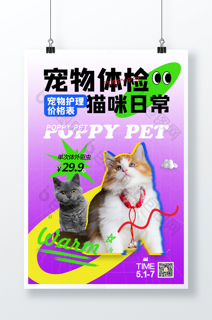 宠物体检猫咪日常简约海报