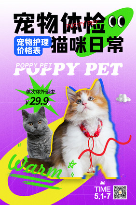 宠物体检猫咪日常简约海报