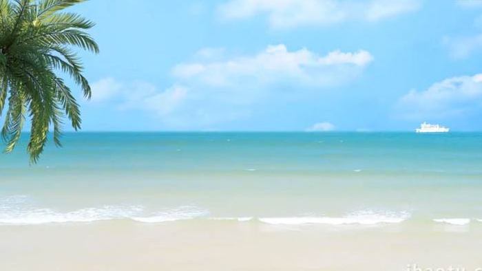 清新夏日椰树海浪动态背景