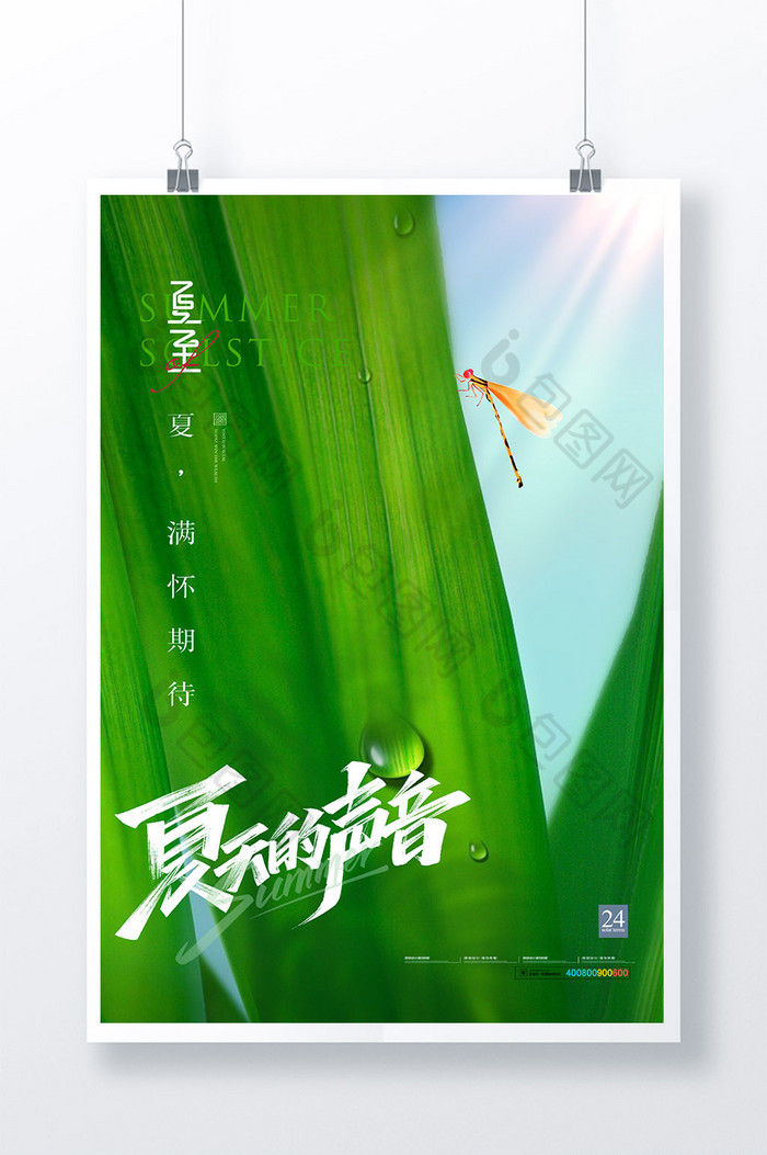 夏至蜻蜓情趣节气图片图片