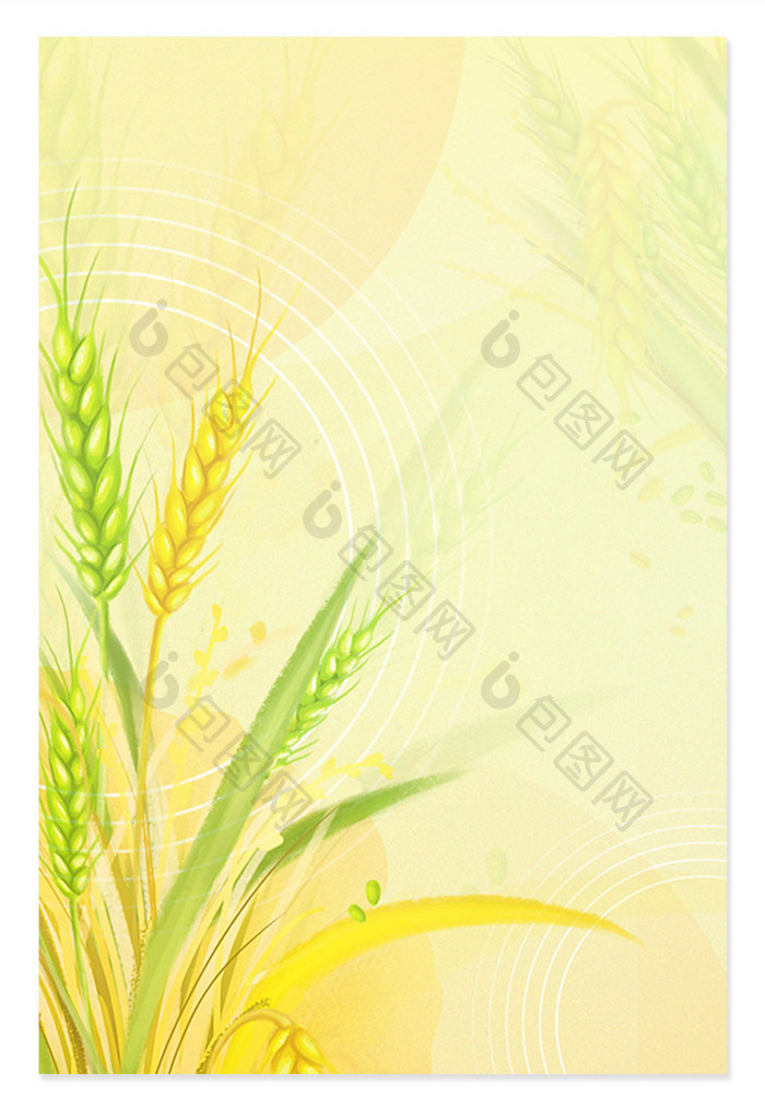 麦子麦穗芒种播种节气背景